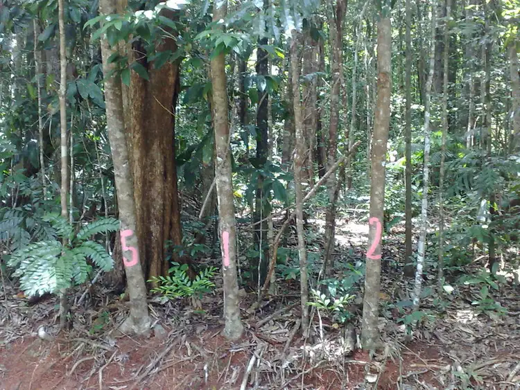 Second view of Homely land listing, 512 Silver Ash Road, Cow Bay QLD 4873