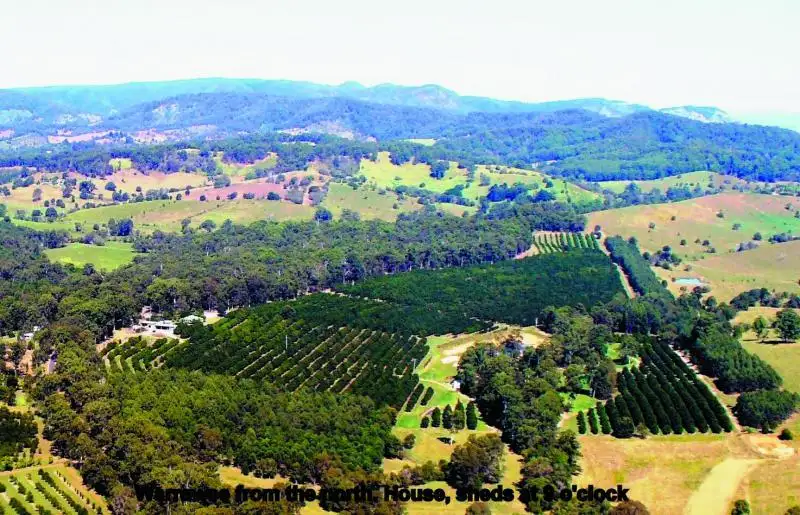 Main view of Homely rural property listing, 114 Newsavale Road, Wolvi QLD 4570