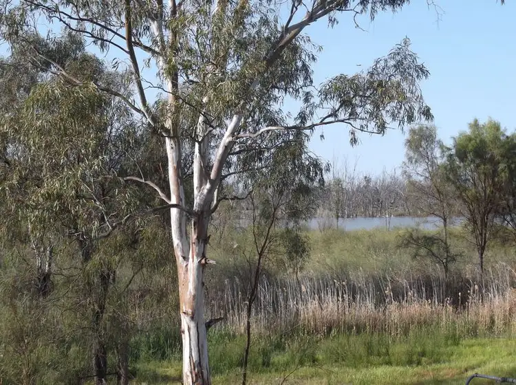 Second view of Homely house listing, 2 Nineteenth, Renmark SA 5341