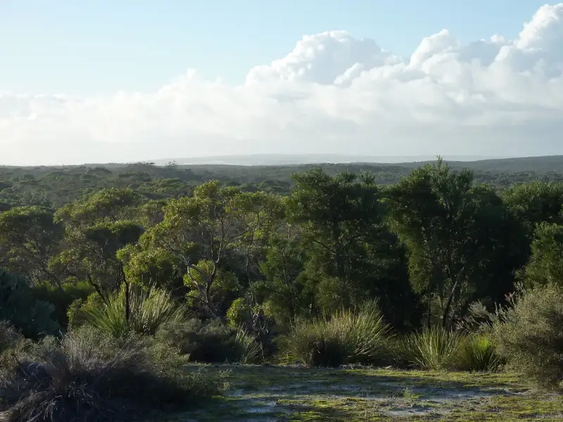 Main view of Homely land listing, LOT 52, 7746 Borden-Bremer Bay Rd, Bremer Bay WA 6338