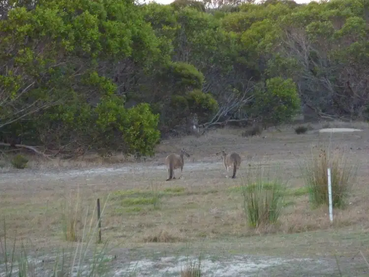 Sixth view of Homely land listing, LOT 52, 7746 Borden-Bremer Bay Rd, Bremer Bay WA 6338