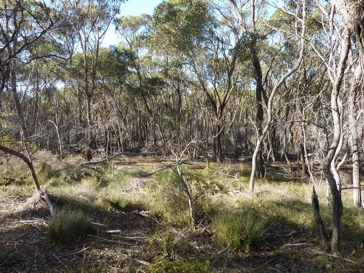 Seventh view of Homely land listing, LOT 52, 7746 Borden-Bremer Bay Rd, Bremer Bay WA 6338