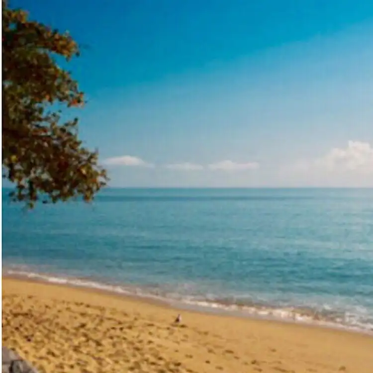 40 Marshall Street, Machans Beach QLD 4878