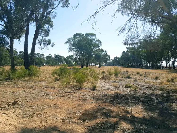 Seventh view of Homely land listing, LOT Lots 2 - 7, DP 14374 Alleena Road, Alleena NSW 2671