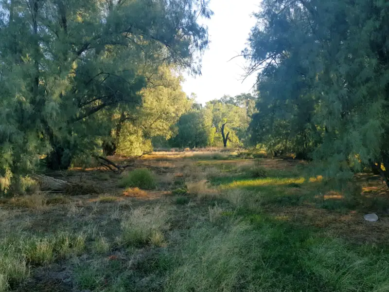 Main view of Homely land listing, 23 Wee Waa Road, Narrabri NSW 2390