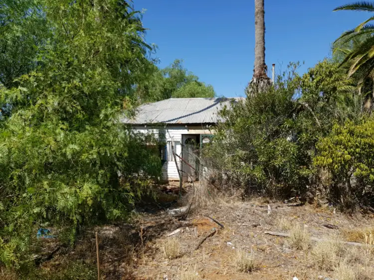 Main view of Homely rural property listing, 2942 TALLIMBA ROAD, Tallimba NSW 2669