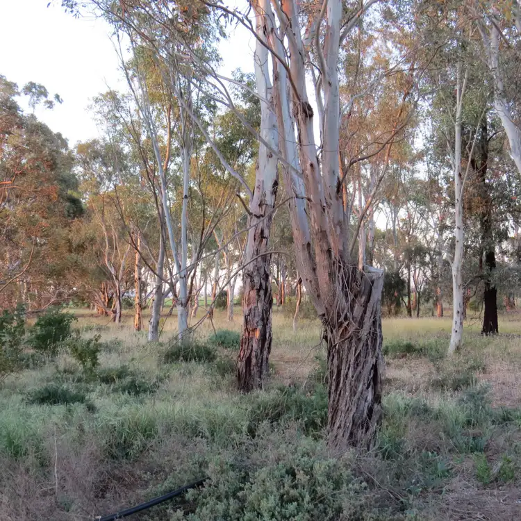 Fourth view of Homely rural property listing, 49 Main Road, Redhill SA 5521