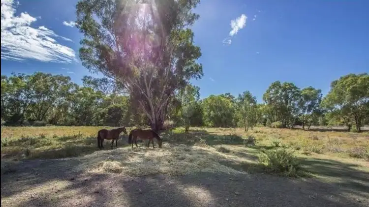 25 Sugden Street, Narrandera NSW 2700
