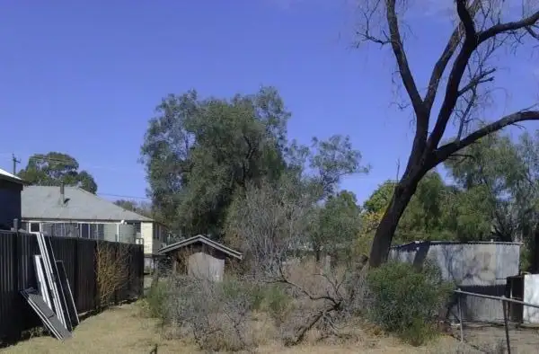 Second view of Homely house listing, 41 Cowildi st, Dirranbandi QLD 4486