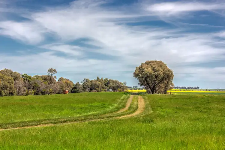 Fifth view of Homely rural property listing, 00 Winter Rd, Timmering VIC 3561