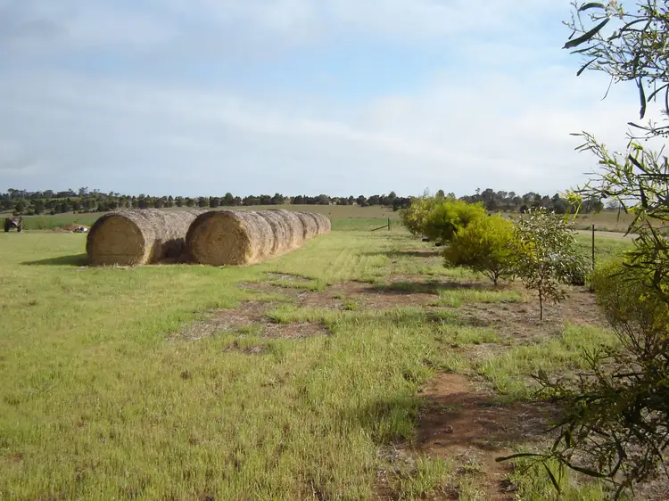 Sixth view of Homely rural property listing, 102 Wark Rd, Tailem Bend SA 5260
