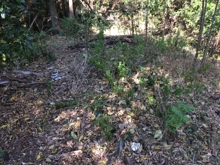 Third view of Homely land listing, Address available on request