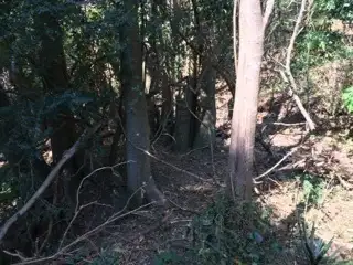 Fifth view of Homely land listing, Address available on request