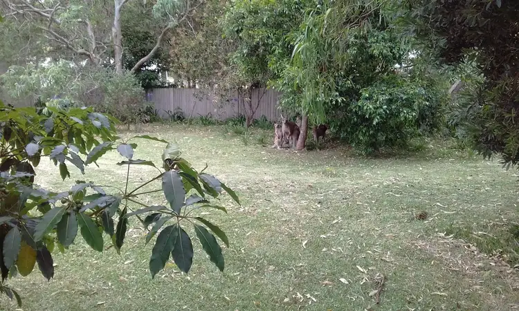 Fifth view of Homely house listing, 18 Merry St, Kioloa NSW 2539