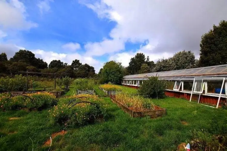 Fifth view of Homely rural property listing, Address available on request