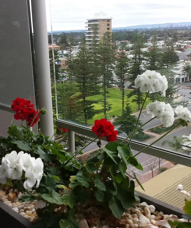 Fourth view of Homely unit listing, 1017/27 Colley Tce, Glenelg SA 5045