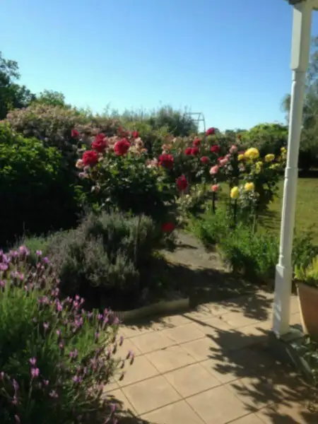 Third view of Homely rural property listing, 507 Boorhaman East Road, Norong VIC 3682