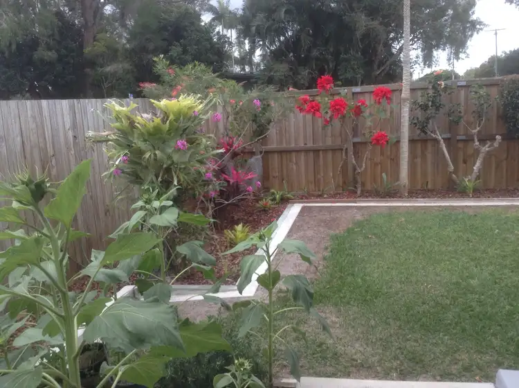 Third view of Homely house listing, 38 Boronia Drive, Bellara QLD 4507