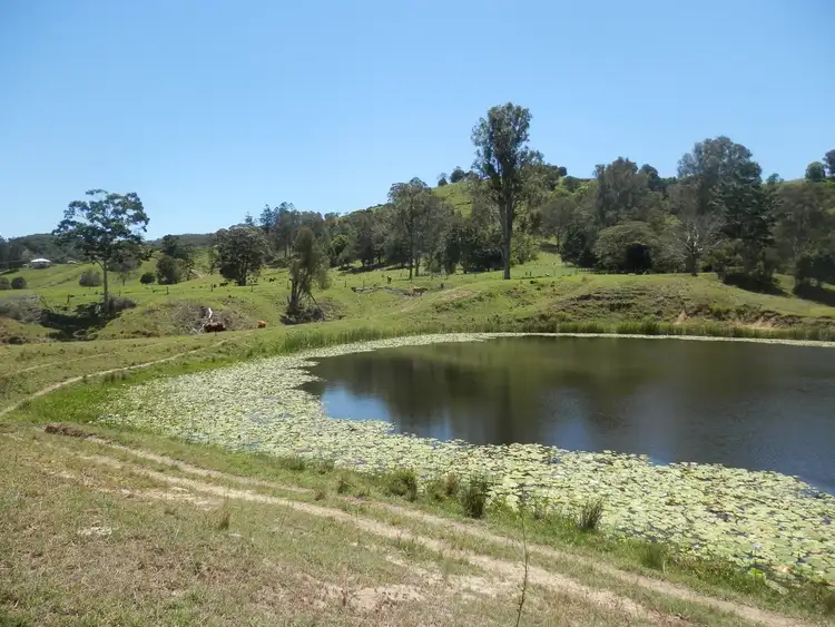 Third view of Homely rural property listing, 92 Gap Road, Cedar Pocket QLD 4570