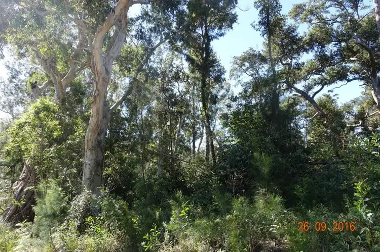 Third view of Homely land listing, lot 6 Waterpark Road, Byfield QLD 4703