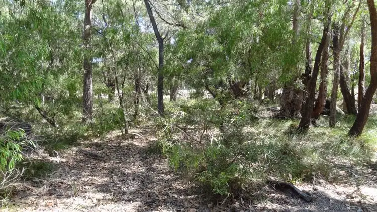 Fourth view of Homely land listing, 4 Dobbins Place, Witchcliffe WA 6286