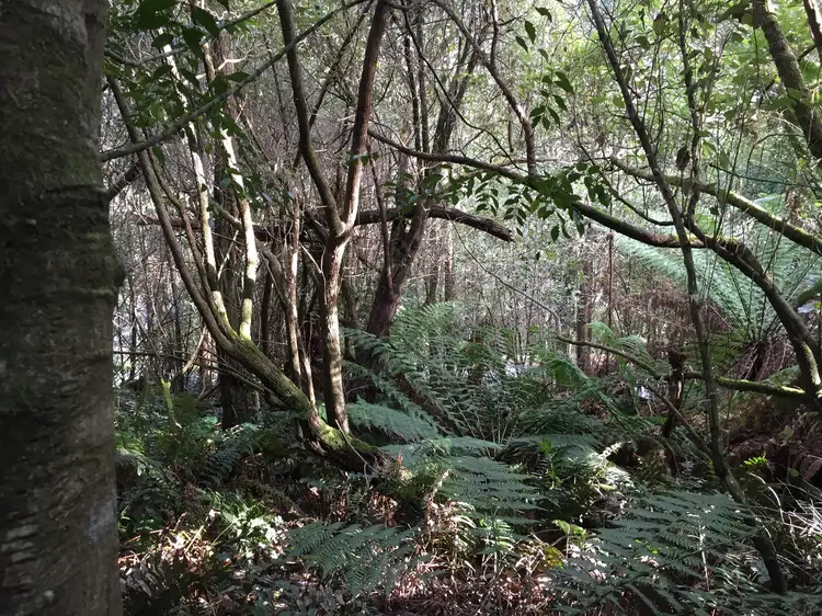 Fifth view of Homely land listing, 11260 Higland Lakes Road, Deloraine TAS 7304