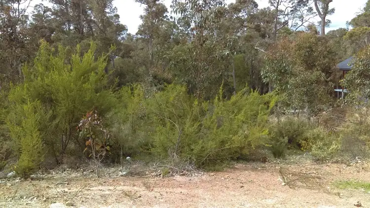 16 Holly Place, Cowaramup WA 6284