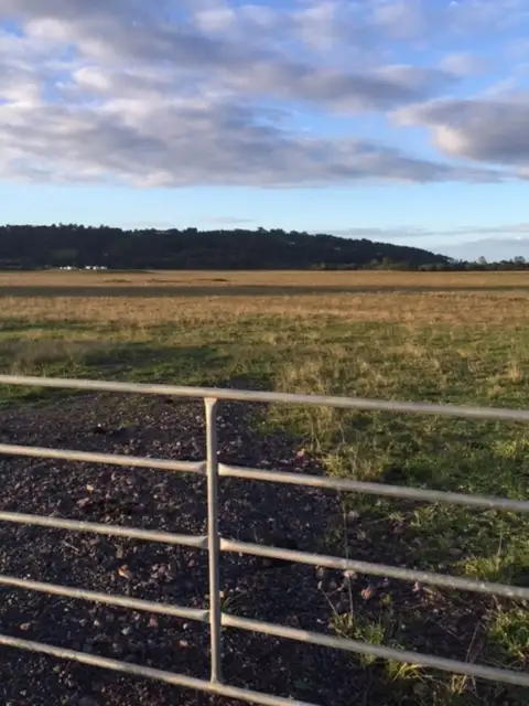 Sixth view of Homely land listing, 409 Yandina-Bli Bli Road, Maroochy River QLD 4561