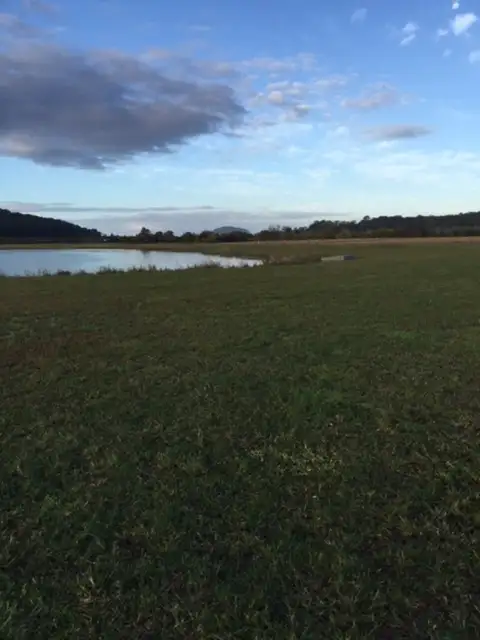 Seventh view of Homely land listing, 409 Yandina-Bli Bli Road, Maroochy River QLD 4561