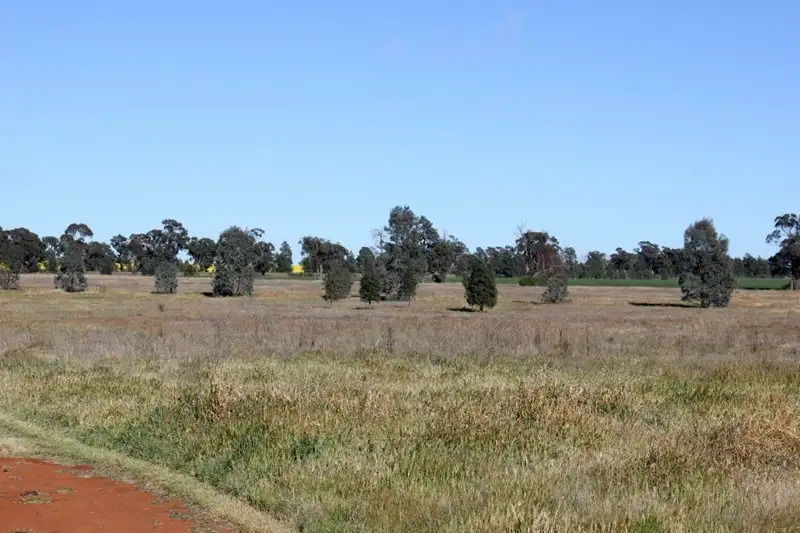 Main view of Homely land listing, 25 Boree Street, Grong Grong NSW 2652