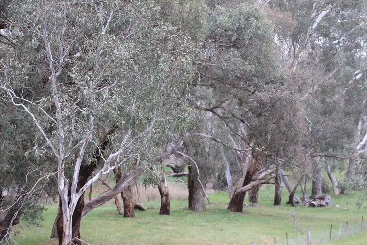 Fifth view of Homely land listing, 600 Mia Mia - Derrinal Rd, Derrinal VIC 3523
