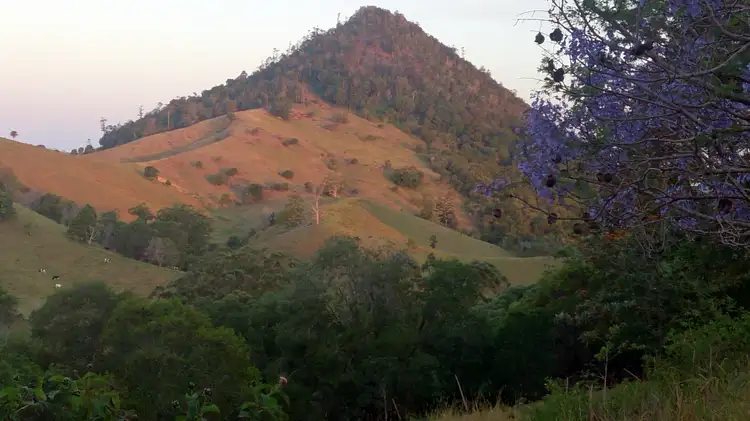 Second view of Homely rural property listing, 238 Arthys Road, Cooran QLD 4569