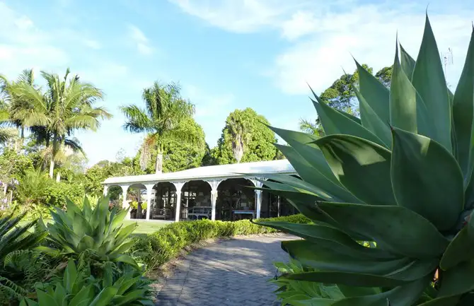 Third view of Homely rural property listing, 29 Mountain View Road, Pinbarren QLD 4568
