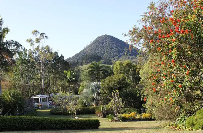 Fourth view of Homely rural property listing, 29 Mountain View Road, Pinbarren QLD 4568