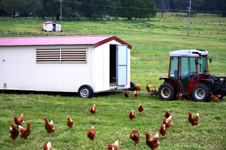 Fifth view of Homely rural property listing, Address available on request