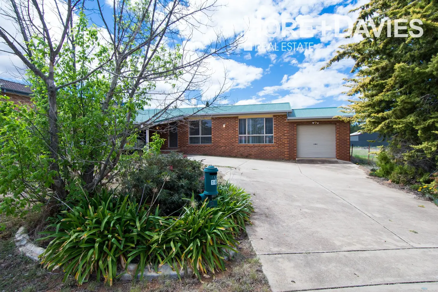 Main view of Homely house listing, 16 Kindra Crescent, Coolamon NSW 2701