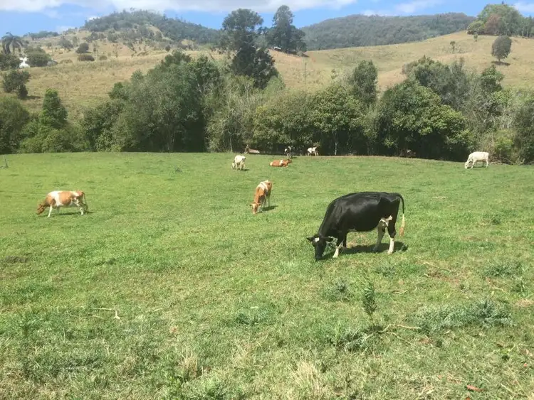 Fourth view of Homely house listing, 903 Mooloo Road, Mooloo QLD 4570