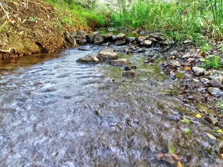 Fifth view of Homely house listing, 903 Mooloo Road, Mooloo QLD 4570