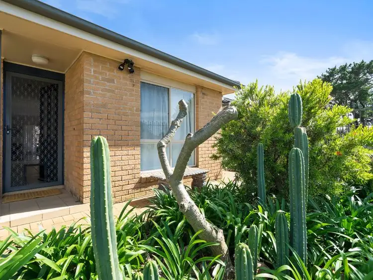 Second view of Homely house listing, 14 Myers Lane, Adamstown NSW 2289