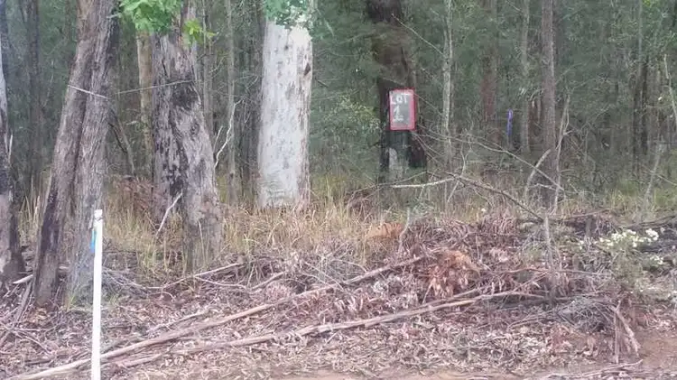 Main view of Homely land listing, Lot 1 DP726501 Orara Way, Wells Crossing NSW 2460