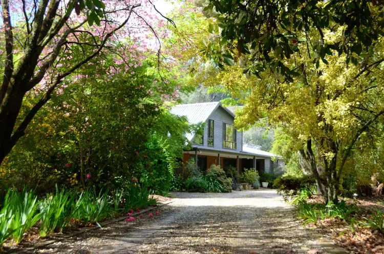 16 Ashwood Avenue, Bright VIC 3741