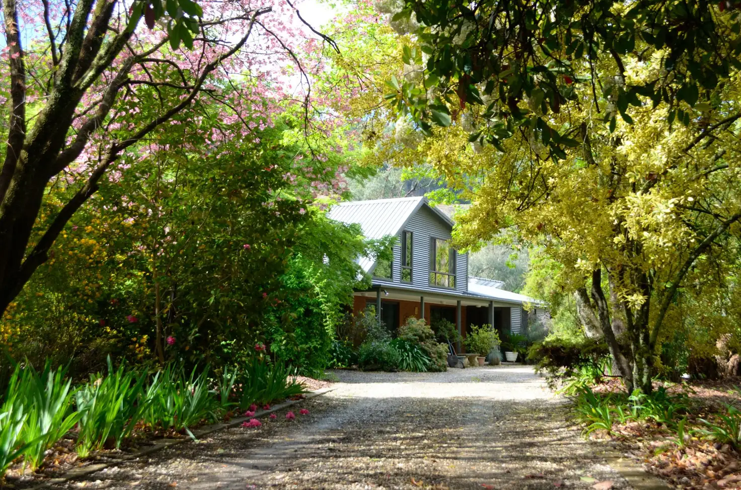 Main view of Homely house listing, 16 Ashwood Avenue, Bright VIC 3741