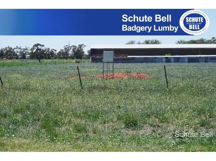 143 Webb's Siding Rd, Narromine NSW 2821