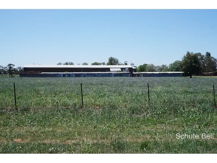 Third view of Homely land listing, 143 Webb's Siding Rd, Narromine NSW 2821