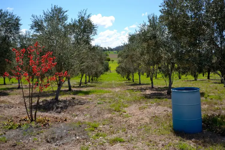 Third view of Homely land listing, 482 Esk Crows Nest Road, Biarra QLD 4313