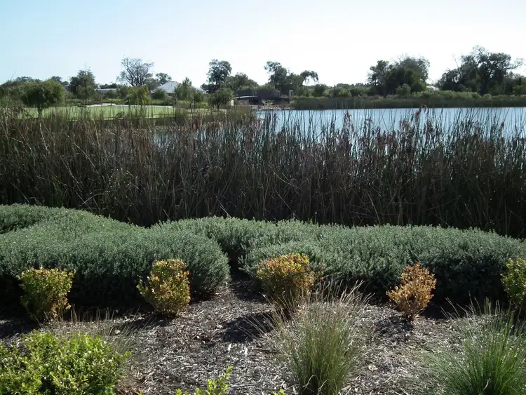 Seventh view of Homely house listing, 8 Almond Parkway, Yalyalup WA 6280