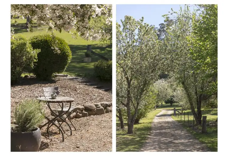 Fourth view of Homely rural property listing, 90 Swamp Wallaby Track, Buckland VIC 3740