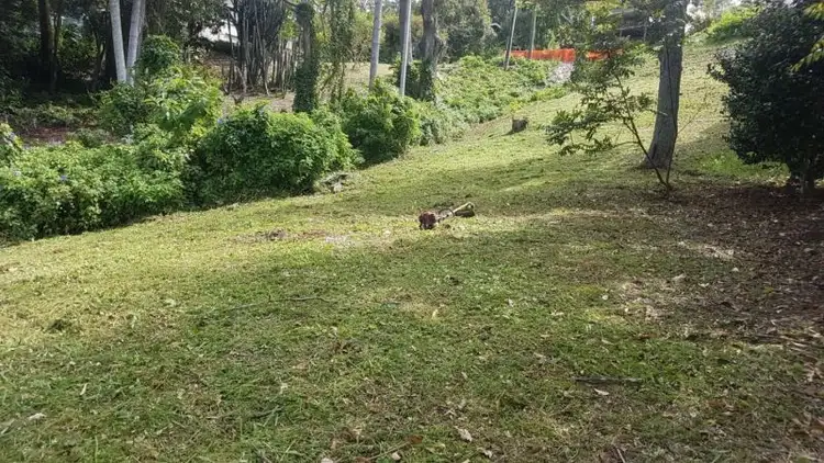 Fifth view of Homely land listing, 12 Boongala Ave, Montville QLD 4560