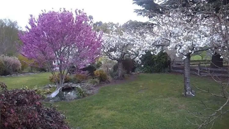 Fourth view of Homely rural property listing, 60 Everest Road, Exeter TAS 7275