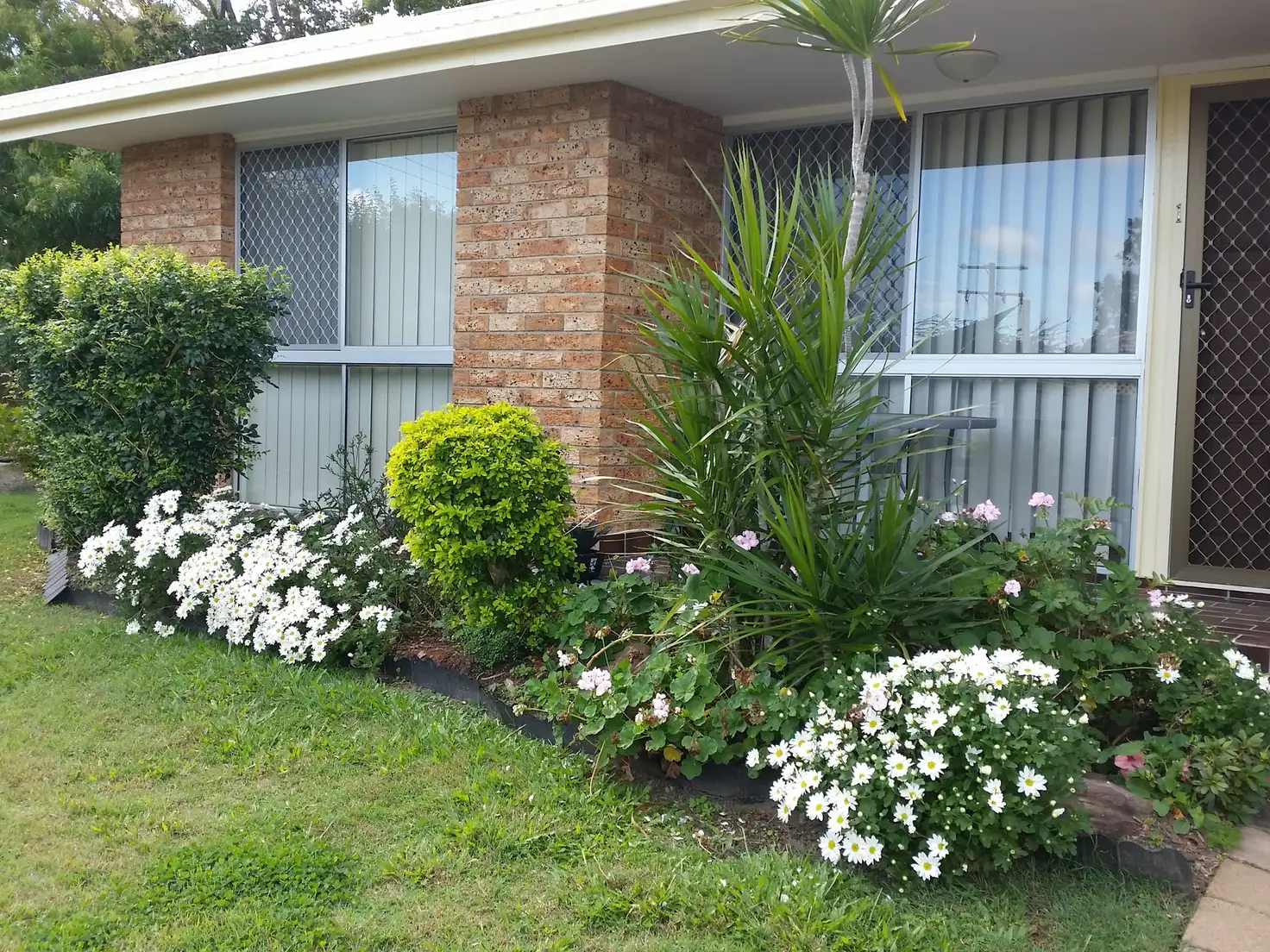 Main view of Homely unit listing, Unit 1/52-54 Martin Street, Nerang QLD 4211